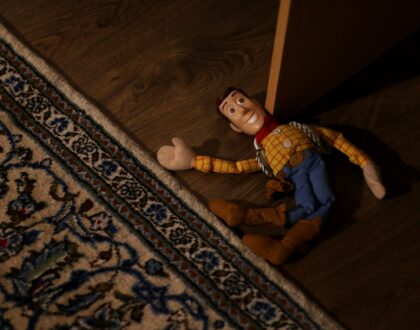 broken Woody toy; product liability insurance