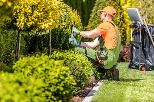 garden job